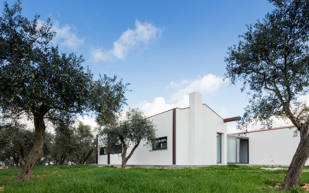 House among olive trees
