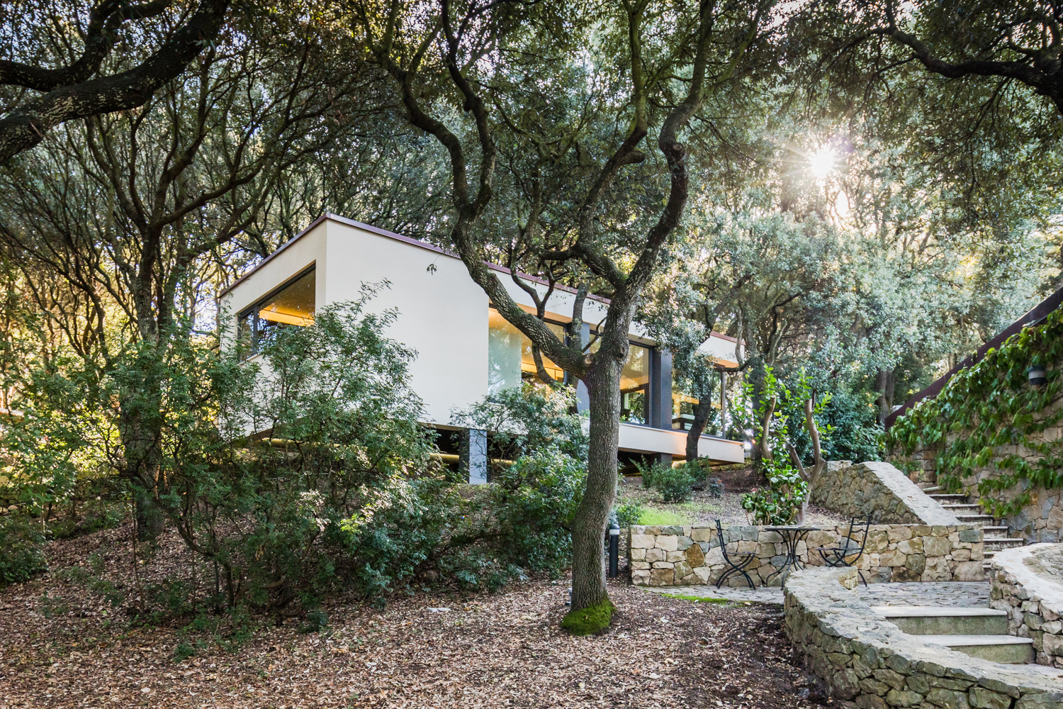 La casa nel bosco - foto di Joao Morgado