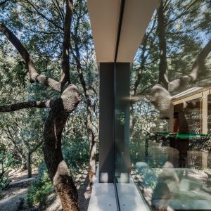 Vetrata e tavolo da biliardo - La casa nel bosco