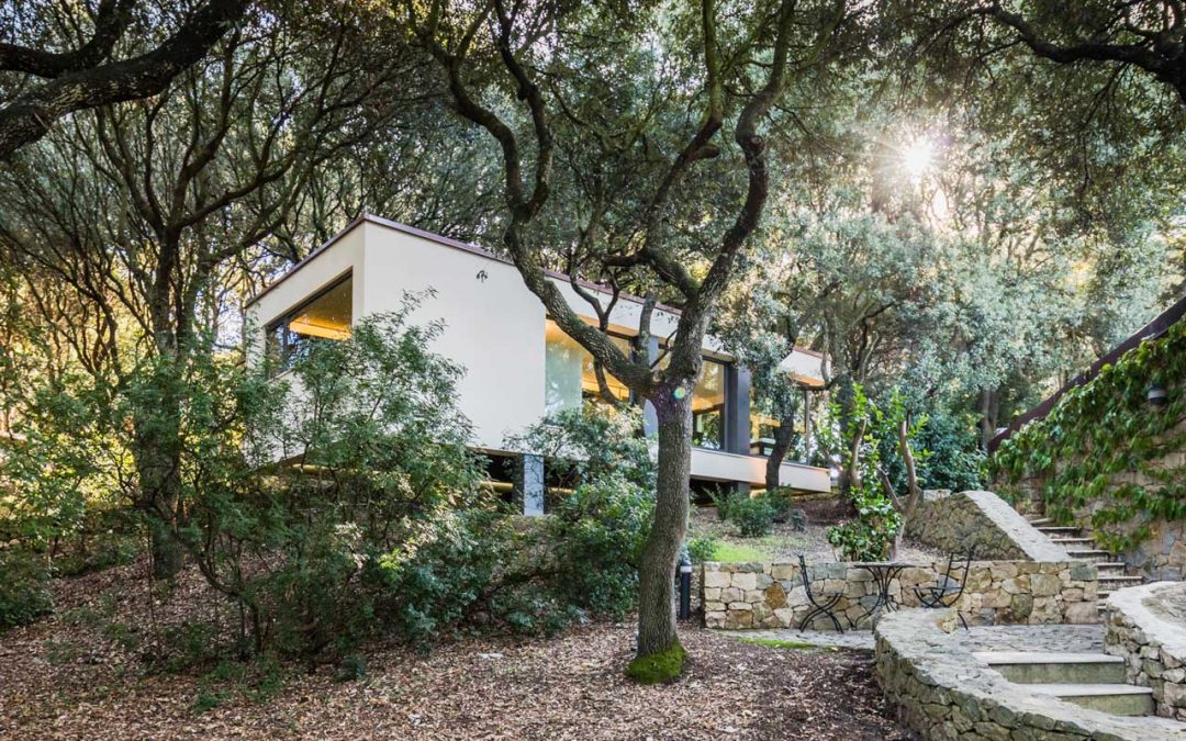 House in the woods