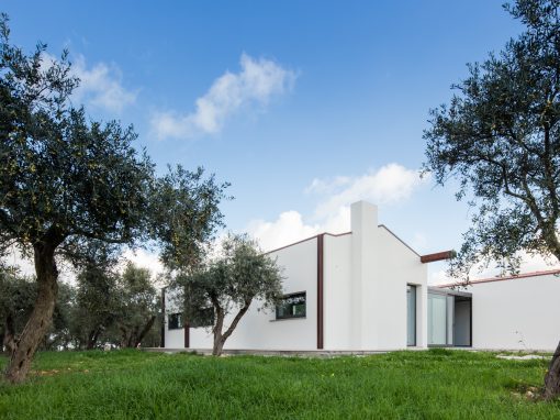 House among olive trees