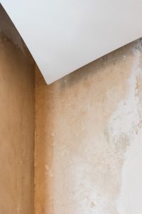 Appartamento ottocentesco Sassari, dettagli controsoffitto